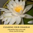 Donna Davidge Clearing Your Chakras